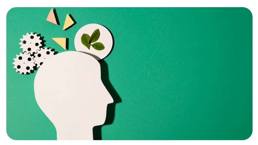 self knowledge homepage